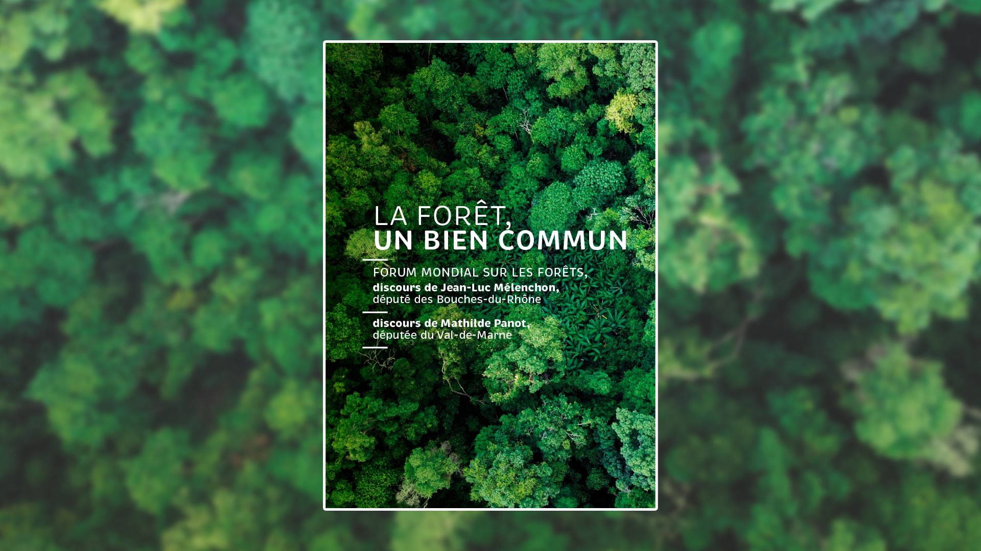 brochure foret minia